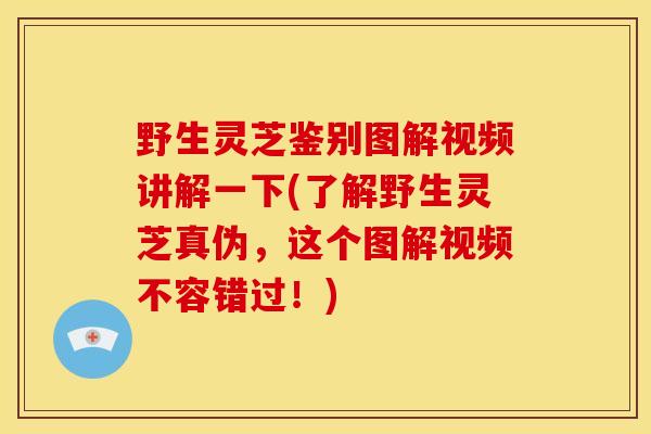 野生灵芝鉴别图解视频讲解一下(了解野生灵芝真伪,这个图解视频不容错过!) 野生灵芝鉴别图解视频讲解一下(了解野生灵芝真伪,这个图解视频不容错过!)