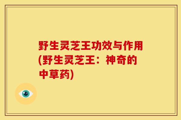 野生灵芝王功效与作用(野生灵芝王:神奇的中草药) 野生灵芝王功效与作用(野生灵芝王:神奇的中草药)