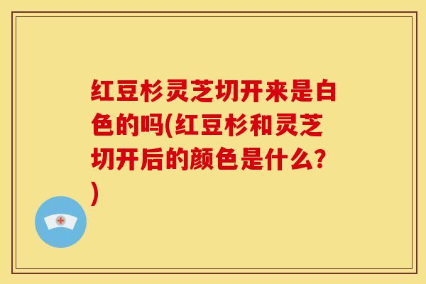 红豆杉灵芝切开来是白色的吗(红豆杉和灵芝切开后的颜色是什么?) 红豆杉灵芝切开来是白色的吗(红豆杉和灵芝切开后的颜色是什么?)