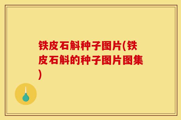 铁皮石斛种子图片(铁皮石斛的种子图片图集) 铁皮石斛种子图片(铁皮石斛的种子图片图集)