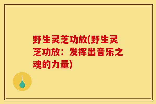 野生灵芝功放(野生灵芝功放:发挥出音乐之魂的力量) 野生灵芝功放(野生灵芝功放:发挥出音乐之魂的力量)