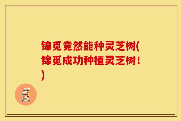 锦觅竟然能种灵芝树(锦觅成功种植灵芝树!) 锦觅竟然能种灵芝树(锦觅成功种植灵芝树!)