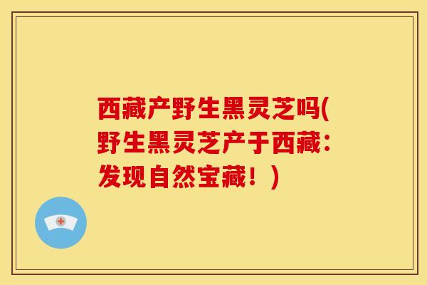 西藏产野生黑灵芝吗(野生黑灵芝产于西藏:发现自然宝藏!) 西藏产野生黑灵芝吗(野生黑灵芝产于西藏:发现自然宝藏!)