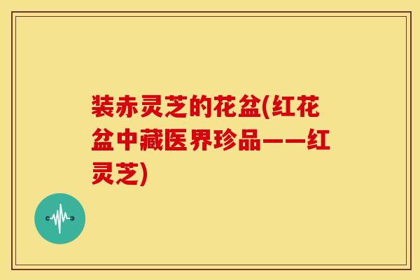 装赤灵芝的花盆(红花盆中藏医界珍品——红灵芝) 装赤灵芝的花盆(红花盆中藏医界珍品——红灵芝)