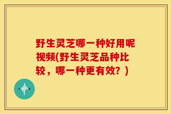 野生灵芝哪一种好用呢视频(野生灵芝品种比较,哪一种更有效?) 野生灵芝哪一种好用呢视频(野生灵芝品种比较,哪一种更有效?)