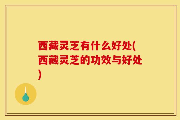 西藏灵芝有什么好处(西藏灵芝的功效与好处) 西藏灵芝有什么好处(西藏灵芝的功效与好处)