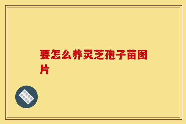 要怎么养灵芝孢子苗图片 要怎么养灵芝孢子苗图片