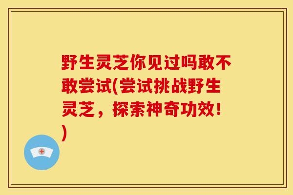 野生灵芝你见过吗敢不敢尝试(尝试挑战野生灵芝,探索神奇功效!) 野生灵芝你见过吗敢不敢尝试(尝试挑战野生灵芝,探索神奇功效!)