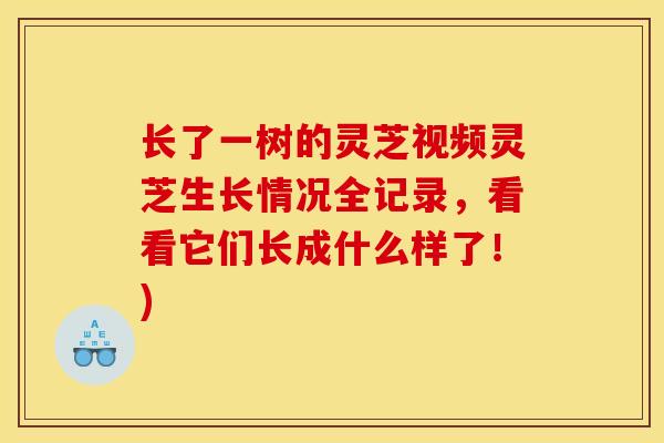 长了一树的灵芝视频灵芝生长情况全记录,看看它们长成什么样了!) 长了一树的灵芝视频灵芝生长情况全记录,看看它们长成什么样了!)