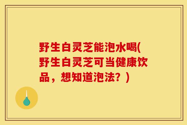 野生白灵芝能泡水喝(野生白灵芝可当健康饮品,想知道泡法?) 野生白灵芝能泡水喝(野生白灵芝可当健康饮品,想知道泡法?)