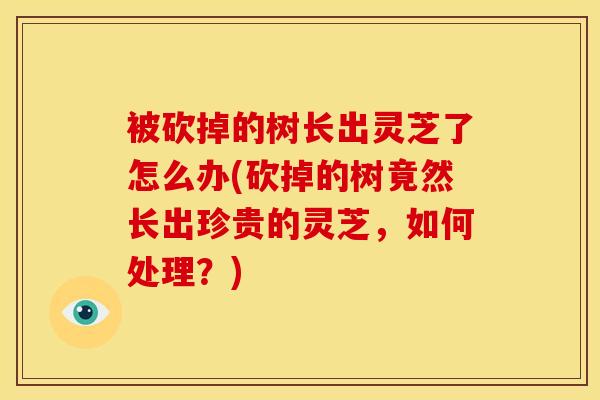 被砍掉的树长出灵芝了怎么办(砍掉的树竟然长出珍贵的灵芝,如何处理?) 被砍掉的树长出灵芝了怎么办(砍掉的树竟然长出珍贵的灵芝,如何处理?)
