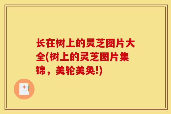 长在树上的灵芝图片大全(树上的灵芝图片集锦,美轮美奂!) 长在树上的灵芝图片大全(树上的灵芝图片集锦,美轮美奂!)