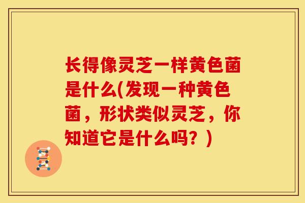 长得像灵芝一样黄色菌是什么(发现一种黄色菌,形状类似灵芝,你知道它是什么吗?) 长得像灵芝一样黄色菌是什么(发现一种黄色菌,形状类似灵芝,你知道它是什么吗?)