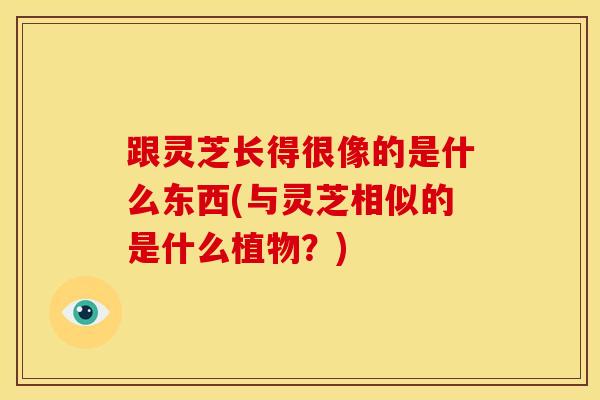 跟灵芝长得很像的是什么东西(与灵芝相似的是什么植物?) 跟灵芝长得很像的是什么东西(与灵芝相似的是什么植物?)