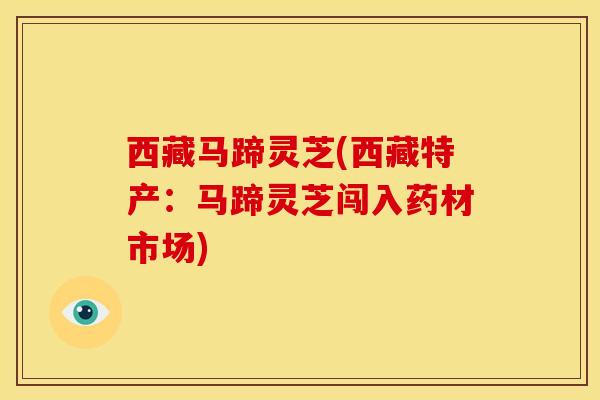 西藏马蹄灵芝(西藏特产:马蹄灵芝闯入药材市场) 西藏马蹄灵芝(西藏特产:马蹄灵芝闯入药材市场)