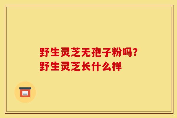 野生灵芝无孢子粉吗?野生灵芝长什么样 野生灵芝无孢子粉吗?野生灵芝长什么样