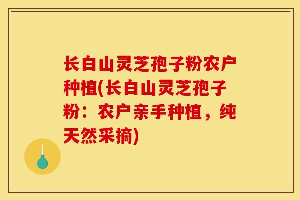 长白山灵芝孢子粉农户种植(长白山灵芝孢子粉:农户亲手种植,纯天然采摘) 长白山灵芝孢子粉农户种植(长白山灵芝孢子粉:农户亲手种植,纯天然采摘)