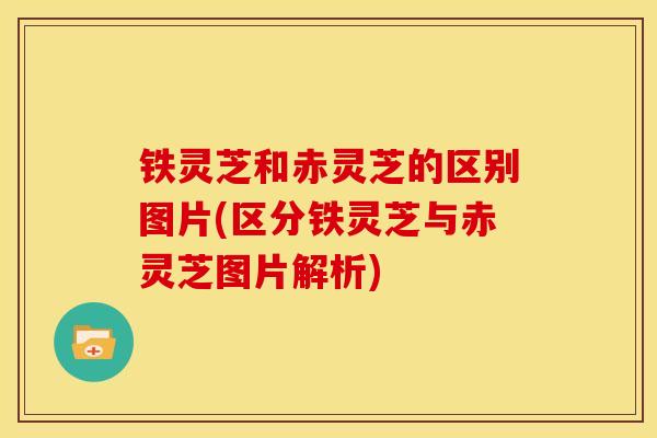 铁灵芝和赤灵芝的区别图片(区分铁灵芝与赤灵芝图片解析)