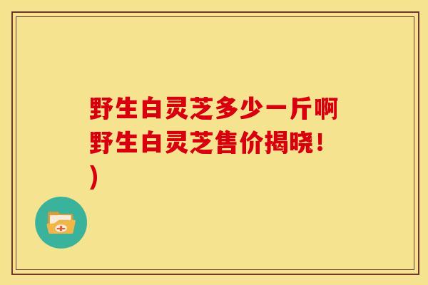 野生白灵芝多少一斤啊野生白灵芝售价揭晓!) 野生白灵芝多少一斤啊野生白灵芝售价揭晓!)