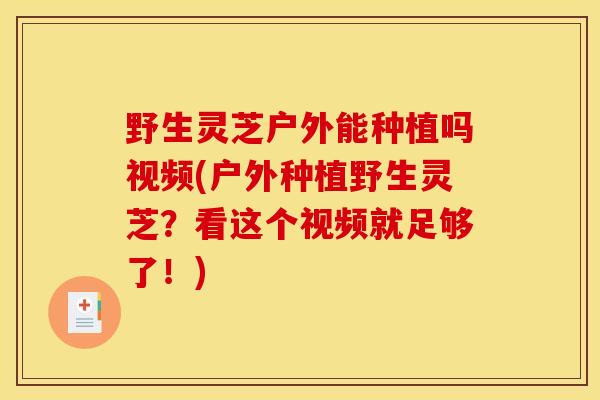 野生灵芝户外能种植吗视频(户外种植野生灵芝?看这个视频就足够了!) 野生灵芝户外能种植吗视频(户外种植野生灵芝?看这个视频就足够了!)