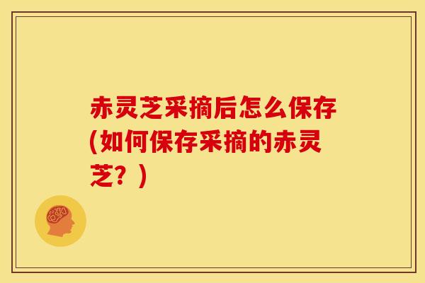 赤灵芝采摘后怎么保存(如何保存采摘的赤灵芝?) 赤灵芝采摘后怎么保存(如何保存采摘的赤灵芝?)