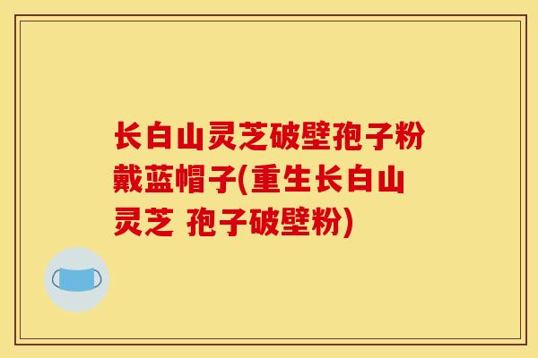 长白山灵芝破壁孢子粉戴蓝帽子(重生长白山灵芝 孢子破壁粉)
