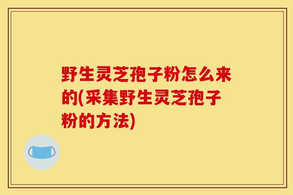野生灵芝孢子粉怎么来的(采集野生灵芝孢子粉的方法) 野生灵芝孢子粉怎么来的(采集野生灵芝孢子粉的方法)