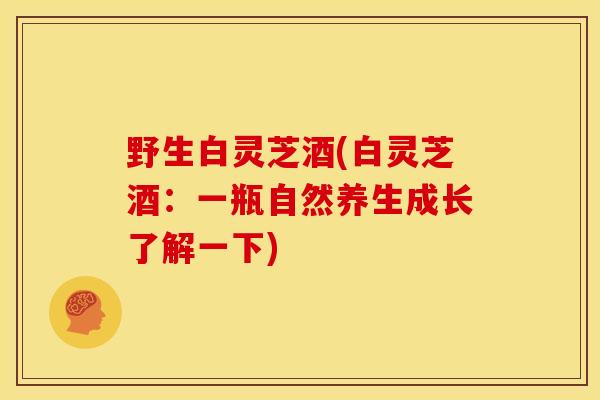 野生白灵芝酒(白灵芝酒:一瓶自然养生成长了解一下) 野生白灵芝酒(白灵芝酒:一瓶自然养生成长了解一下)