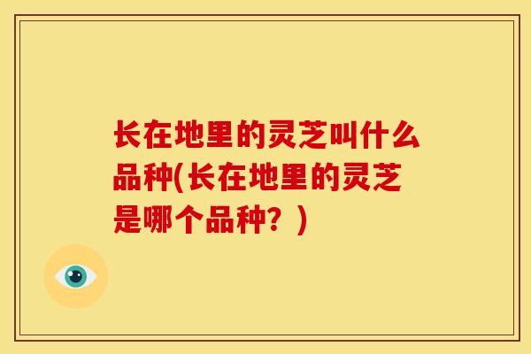 长在地里的灵芝叫什么品种(长在地里的灵芝是哪个品种?) 长在地里的灵芝叫什么品种(长在地里的灵芝是哪个品种?)