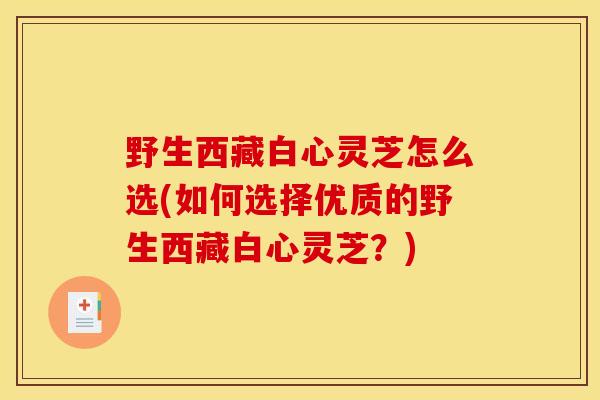 野生西藏白心灵芝怎么选(如何选择优质的野生西藏白心灵芝?) 野生西藏白心灵芝怎么选(如何选择优质的野生西藏白心灵芝?)