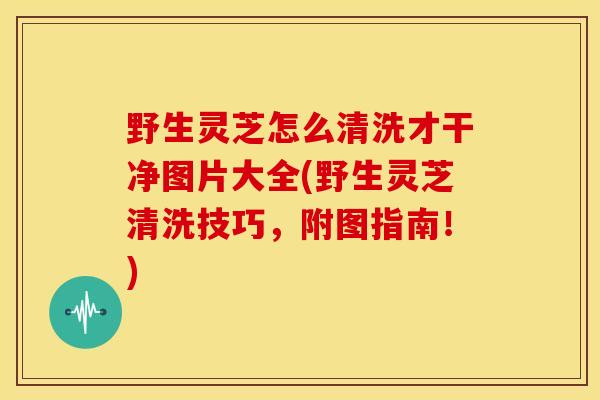 野生灵芝怎么清洗才干净图片大全(野生灵芝清洗技巧,附图指南!) 野生灵芝怎么清洗才干净图片大全(野生灵芝清洗技巧,附图指南!)
