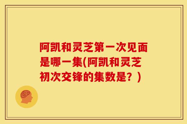 阿凯和灵芝第一次见面是哪一集(阿凯和灵芝初次交锋的集数是?) 阿凯和灵芝第一次见面是哪一集(阿凯和灵芝初次交锋的集数是?)