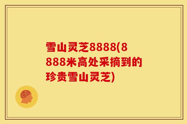 雪山灵芝8888(8888米高处采摘到的珍贵雪山灵芝) 雪山灵芝8888(8888米高处采摘到的珍贵雪山灵芝)