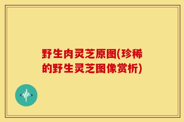 野生肉灵芝原图(珍稀的野生灵芝图像赏析) 野生肉灵芝原图(珍稀的野生灵芝图像赏析)