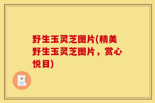 野生玉灵芝图片(精美野生玉灵芝图片,赏心悦目) 野生玉灵芝图片(精美野生玉灵芝图片,赏心悦目)