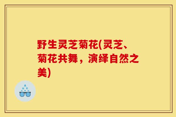 野生灵芝菊花(灵芝、菊花共舞，演绎自然之美)
