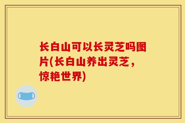 长白山可以长灵芝吗图片(长白山养出灵芝,惊艳世界) 长白山可以长灵芝吗图片(长白山养出灵芝,惊艳世界)