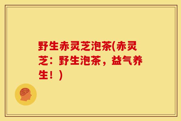 野生赤灵芝泡茶(赤灵芝:野生泡茶,益气养生!) 野生赤灵芝泡茶(赤灵芝:野生泡茶,益气养生!)