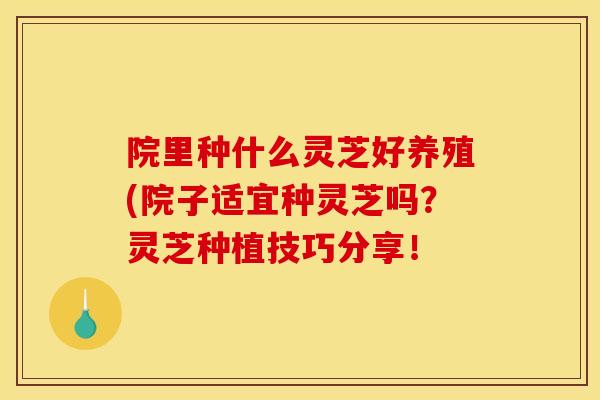 院里种什么灵芝好养殖(院子适宜种灵芝吗?灵芝种植技巧分享! 院里种什么灵芝好养殖(院子适宜种灵芝吗?灵芝种植技巧分享!
