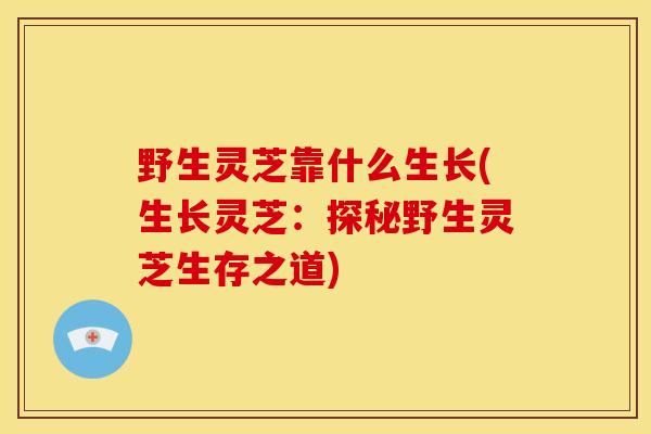 野生灵芝靠什么生长(生长灵芝:探秘野生灵芝生存之道) 野生灵芝靠什么生长(生长灵芝:探秘野生灵芝生存之道)