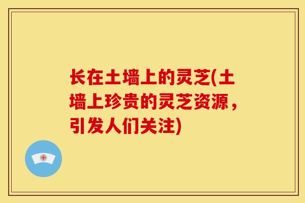 长在土墙上的灵芝(土墙上珍贵的灵芝资源，引发人们关注)