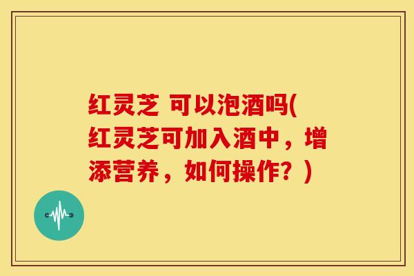 红灵芝 可以泡酒吗(红灵芝可加入酒中，增添营养，如何操作？)