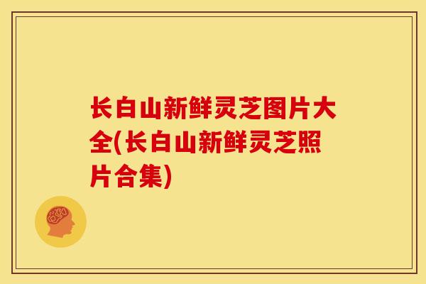 长白山新鲜灵芝图片大全(长白山新鲜灵芝照片合集) 长白山新鲜灵芝图片大全(长白山新鲜灵芝照片合集)