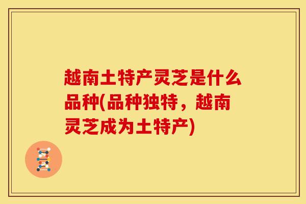 越南土特产灵芝是什么品种(品种独特，越南灵芝成为土特产)