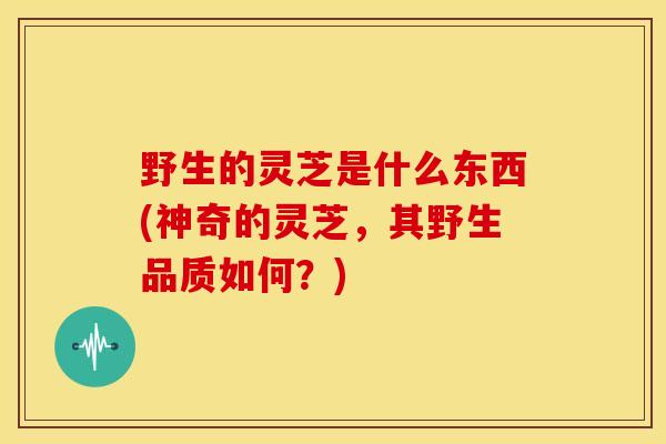 野生的灵芝是什么东西(神奇的灵芝,其野生品质如何?) 野生的灵芝是什么东西(神奇的灵芝,其野生品质如何?)
