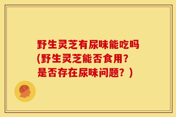 野生灵芝有尿味能吃吗(野生灵芝能否食用?是否存在尿味问题?) 野生灵芝有尿味能吃吗(野生灵芝能否食用?是否存在尿味问题?)