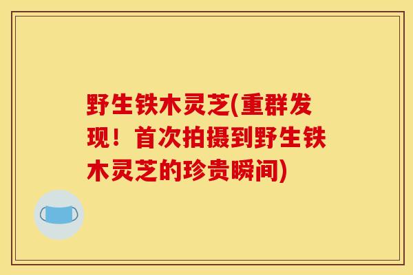 野生铁木灵芝(重群发现！首次拍摄到野生铁木灵芝的珍贵瞬间)