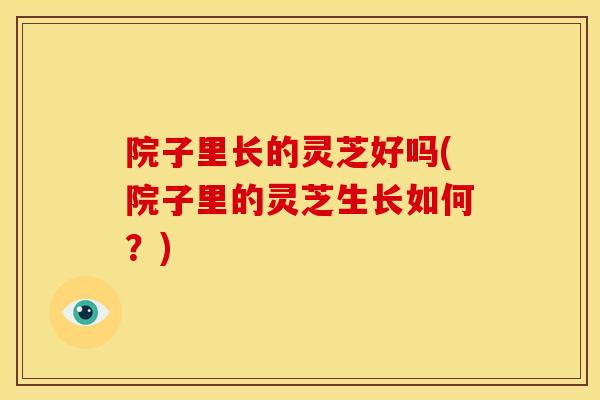 院子里长的灵芝好吗(院子里的灵芝生长如何?) 院子里长的灵芝好吗(院子里的灵芝生长如何?)