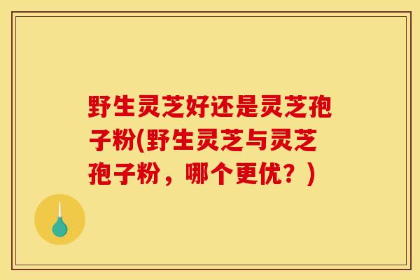 野生灵芝好还是灵芝孢子粉(野生灵芝与灵芝孢子粉，哪个更优？)