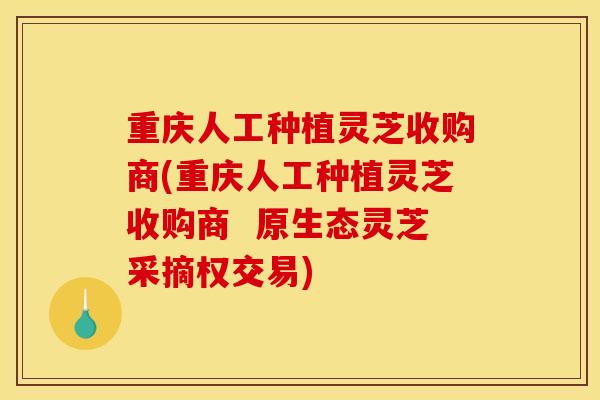 重庆人工种植灵芝收购商(重庆人工种植灵芝收购商 原生态灵芝采摘权交易) 重庆人工种植灵芝收购商(重庆人工种植灵芝收购商 原生态灵芝采摘权交易)